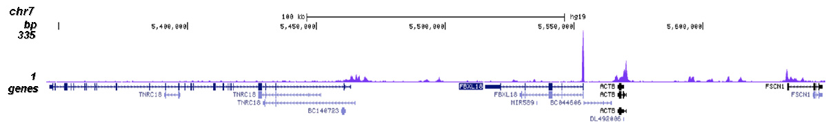 JMJD2a Antibody validated in ChIP-seq