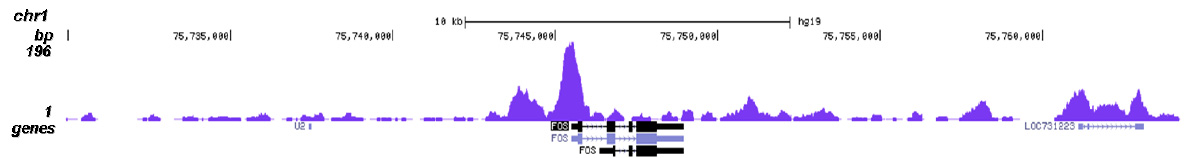 JMJD2a Antibody for ChIP-seq