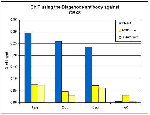 CBX8 Antibody ChIP Grade