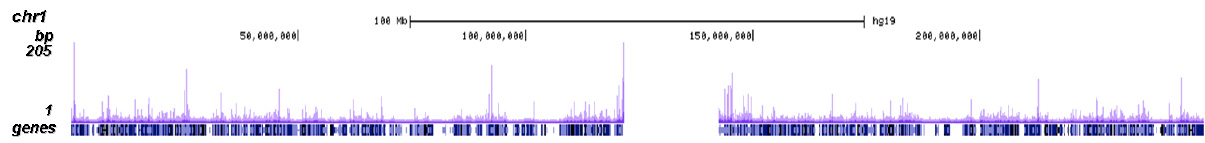 CBX8 Antibody ChIP-seq Grade