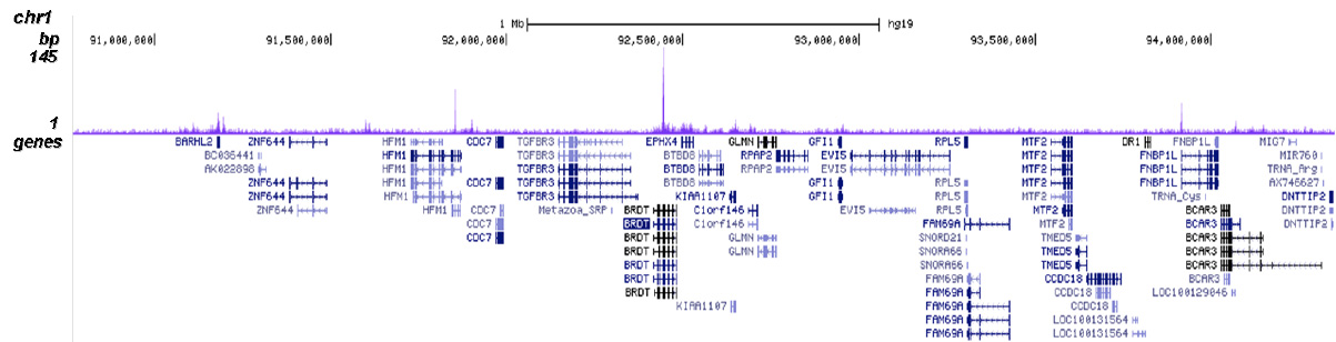 CBX8 Antibody for ChIP-seq