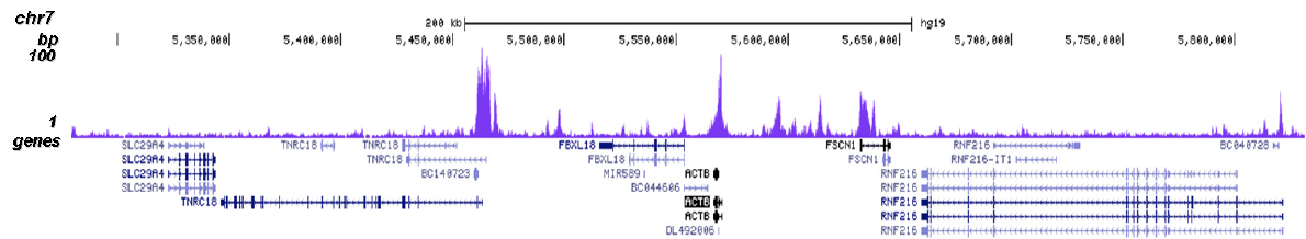 CHD1 Antibody for ChIP-seq assay