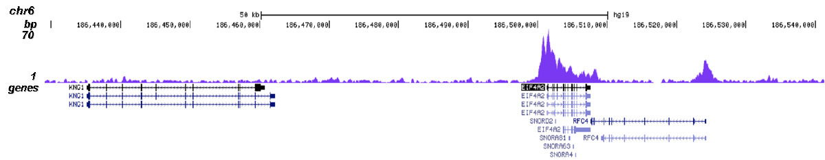 CHD1 Antibody validated in ChIP-seq