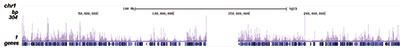 KAT2B Antibody ChIP-seq Grade