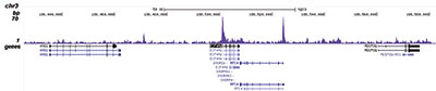 ChIP-seqKAT2B Antibody validated in ChIP-seq