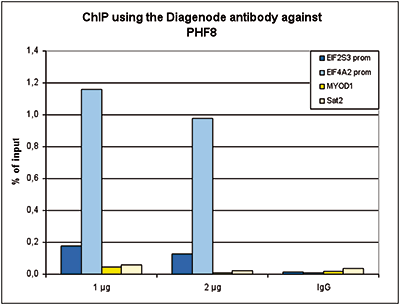 PHF8 Antibody ChIP Grade