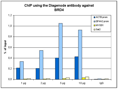 BRD4 Antibody ChIP Grade