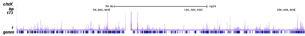 BRD4 Antibody ChIP-seq Grade