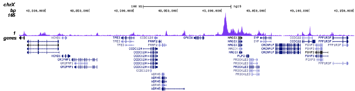 BRD4 Antibody for ChIP-seq