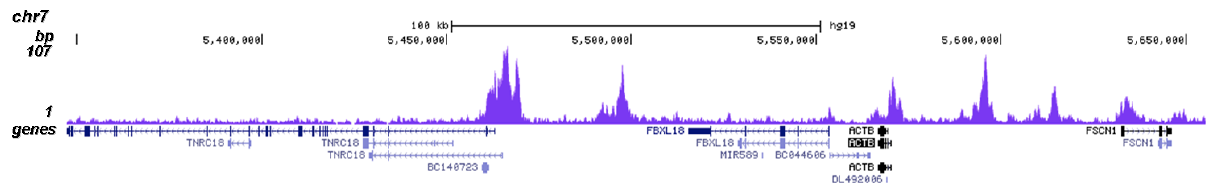 BRD4 Antibody for ChIP-seq assay