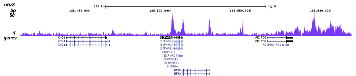 BRD4 Antibody validated in ChIP-seq