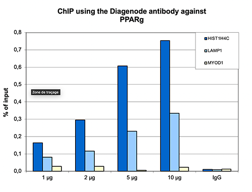 PPARg Antibody ChIP Grade