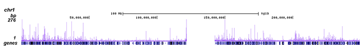 PPARg Antibody ChIP-seq Grade 