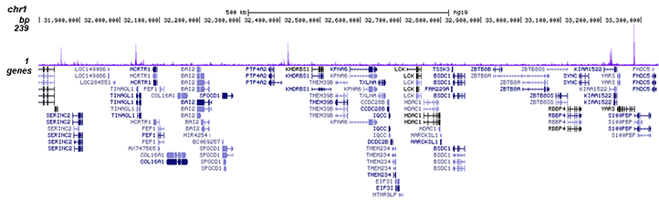 PPARg Antibody for ChIP-seq