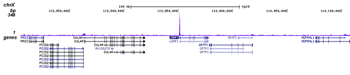 PPARg Antibody validated in ChIP-seq 