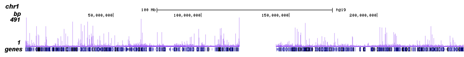 SUV39H1 Antibody Chip-seq Grade 