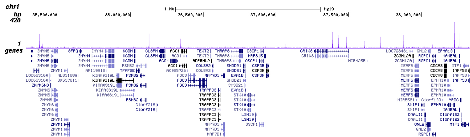 SUV39H1 Antibody for Chip-seq