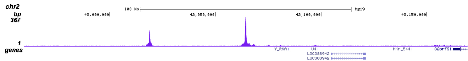 SUV39H1 Antibody Chip-seq Grade 