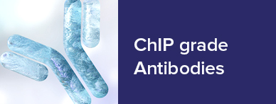 chip-seq-grade