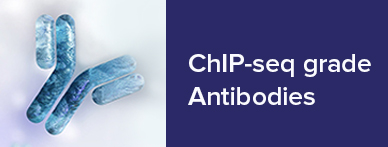 chip-seq-grade
