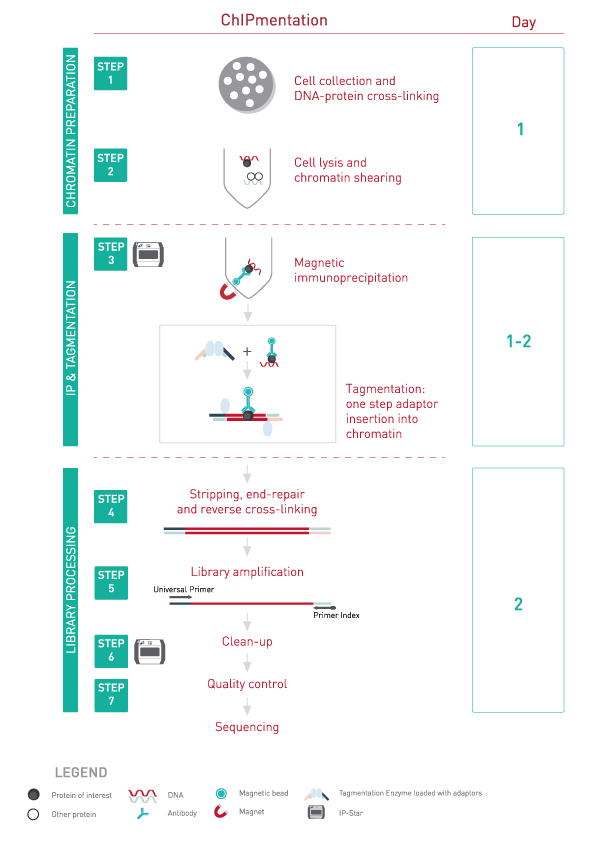 Auto ChIPmentation Kit for Histones