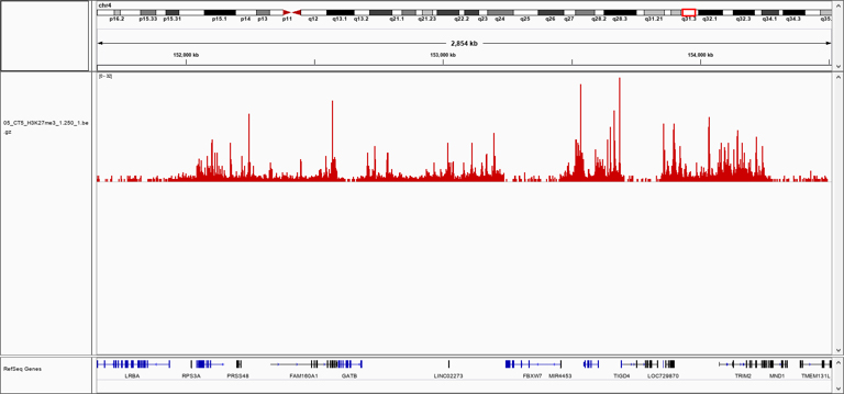 pA-Tn5 Transposase unloaded