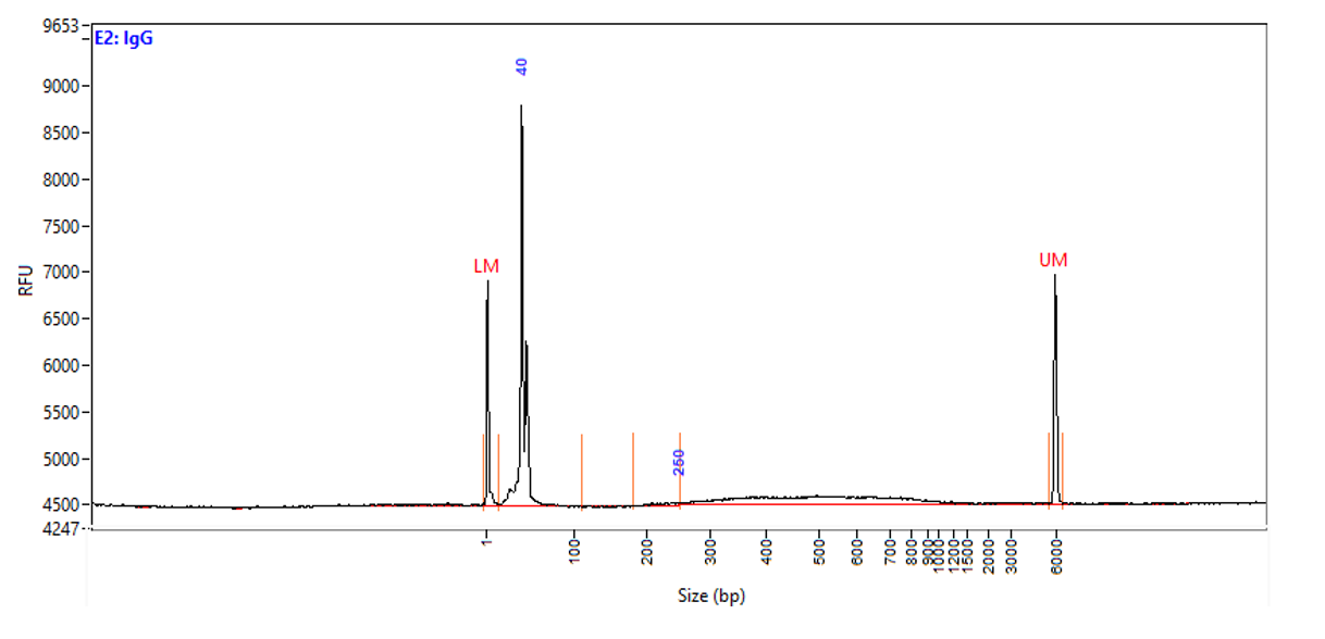 Cleavage Under Targets and Tagmentation