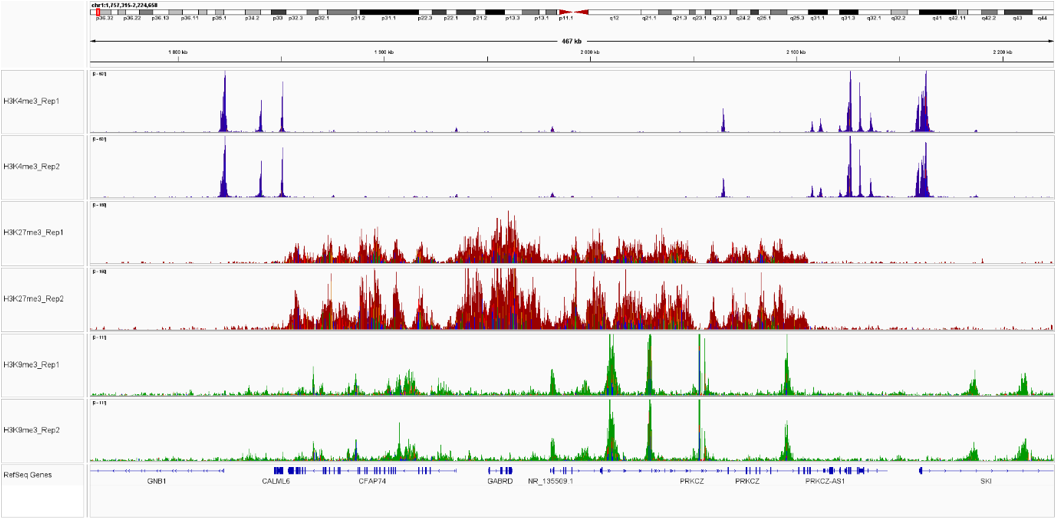 iDeal CUT&Tag experiments of K562 cells 