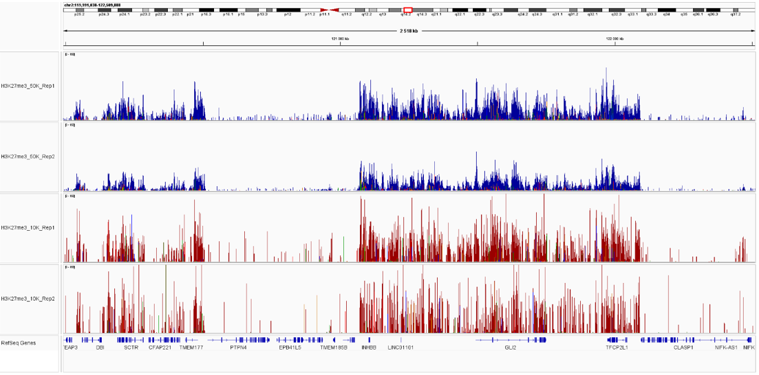 CUT&Tag experiments using 10,000 K562 cells