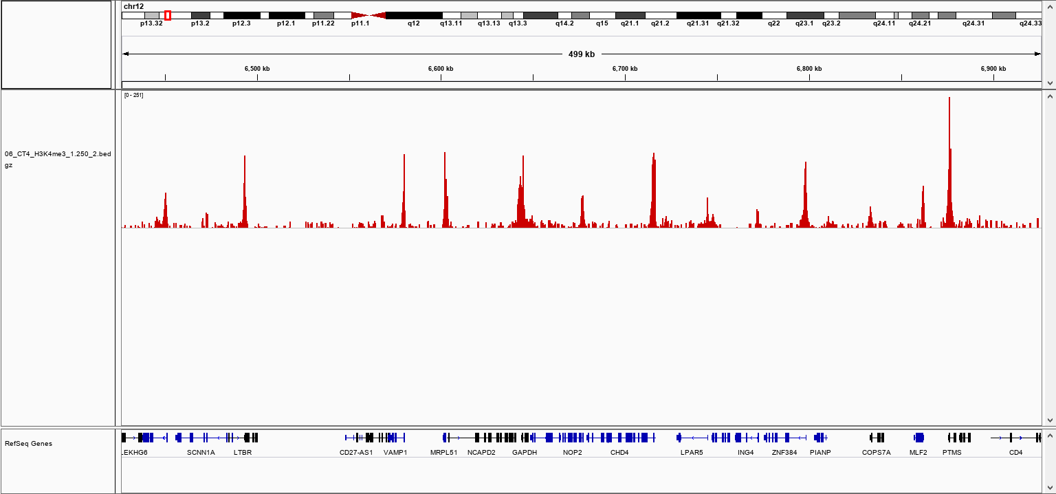 pA-Tn5 Transposase loaded  H3K4me3 Validation