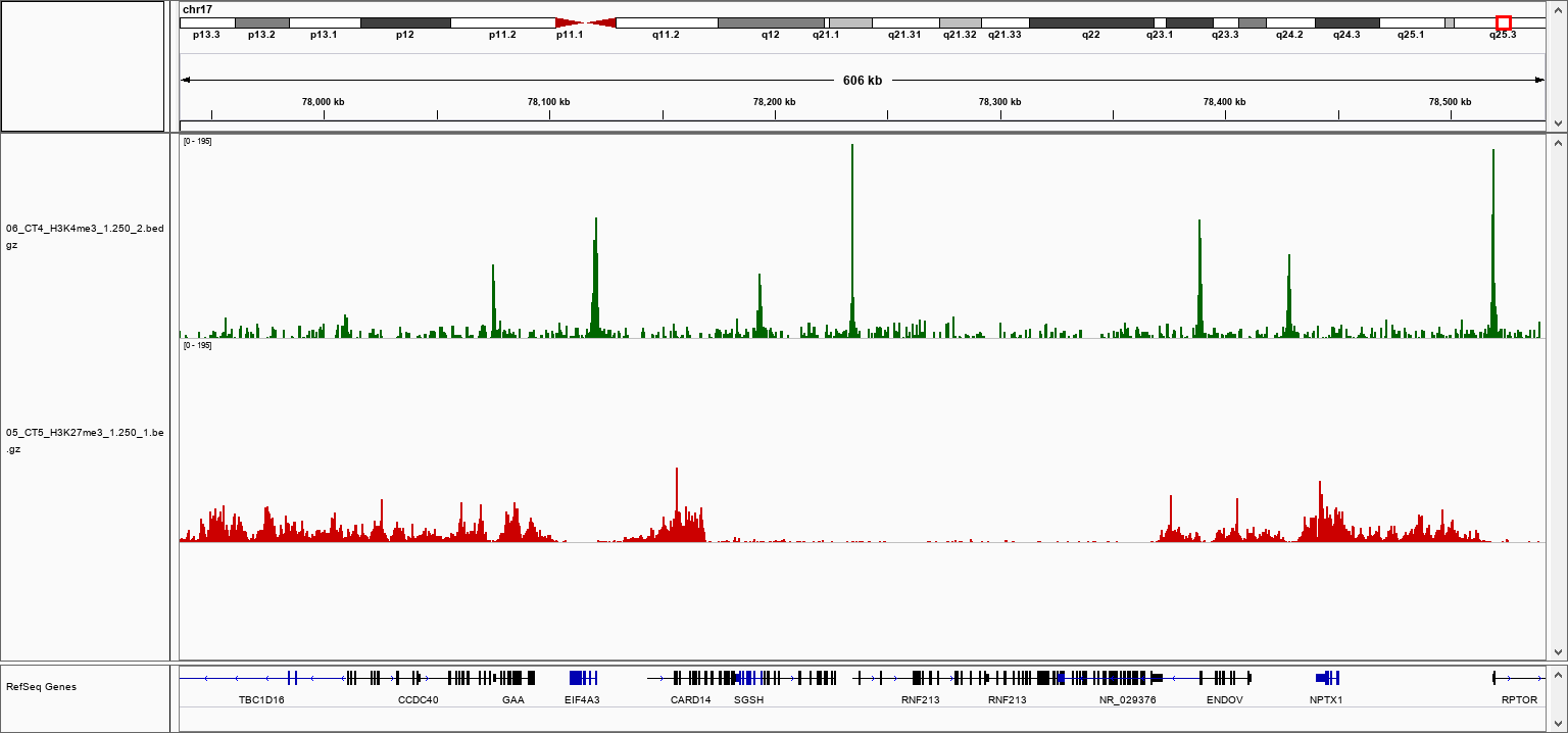 pA-Tn5 Transposase loaded H3K27me3 Validation 