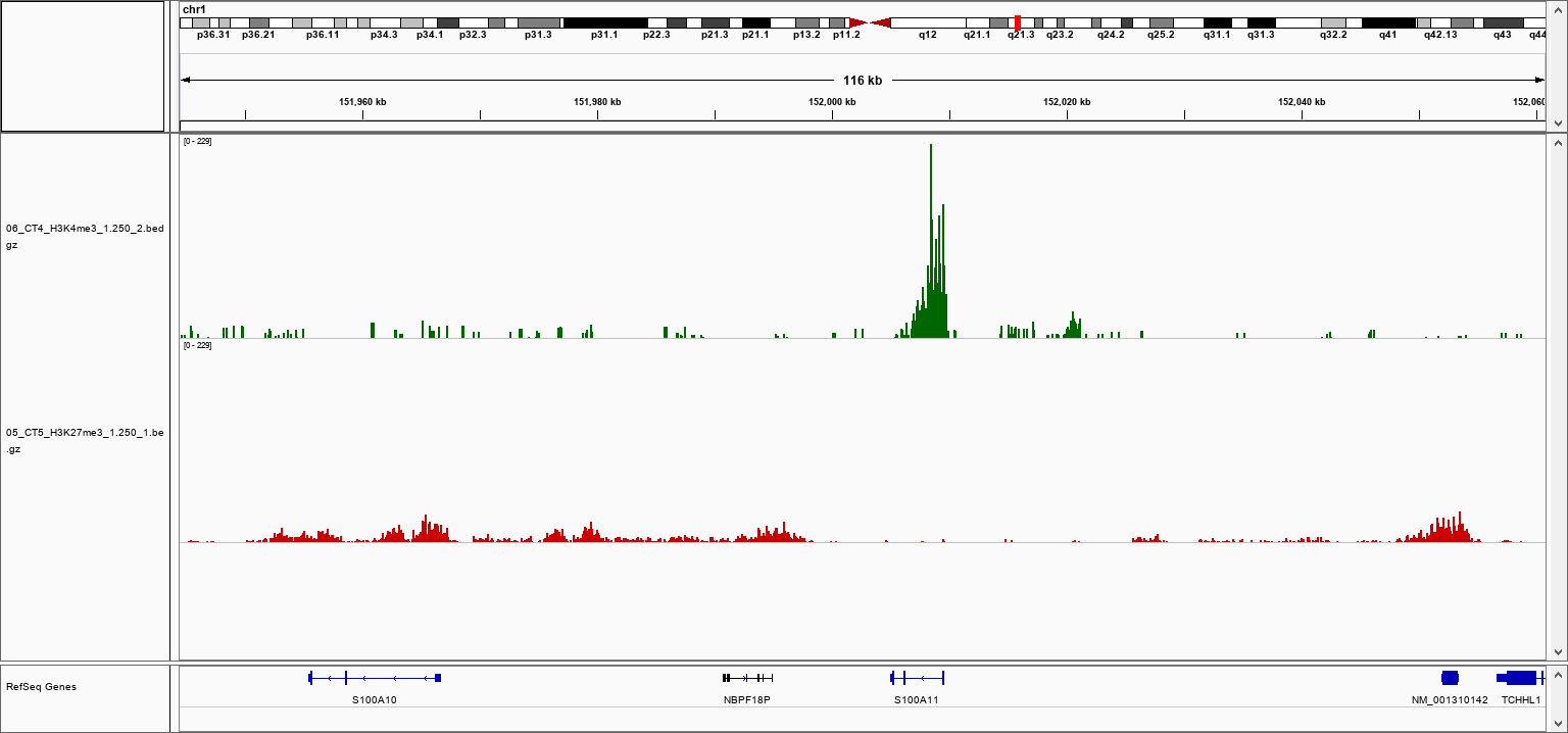 pA-Tn5 Transposase loaded H3K4me3 Validation 