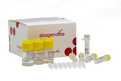 MagMeDIP qPCR Kit x10