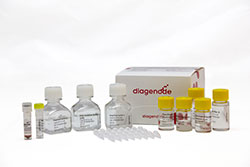 MagMeDIP qPCR Kit box