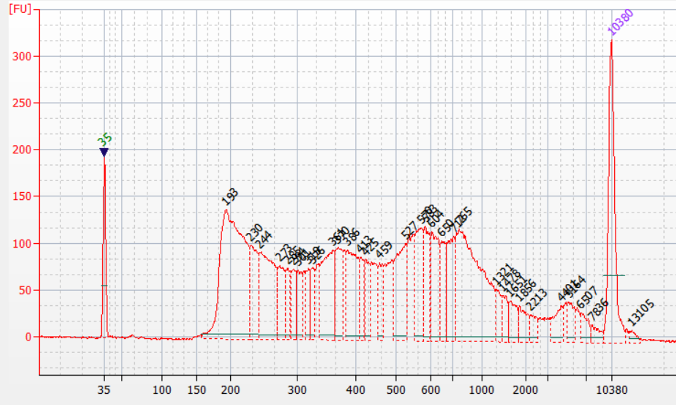 library prepared with the Diagenode ATAC-seq kit 