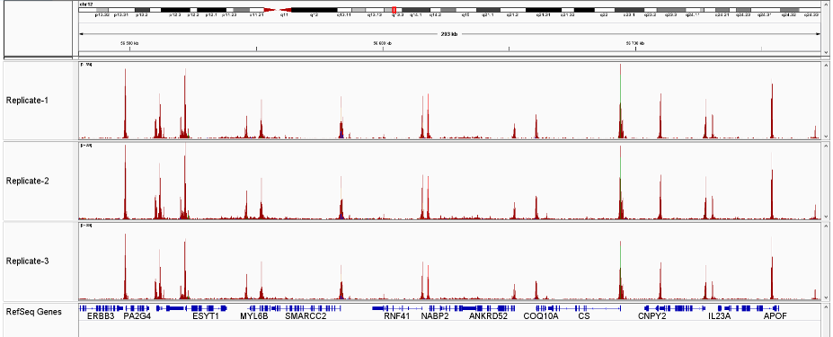Assay for Transposase-Accessible Chromatin