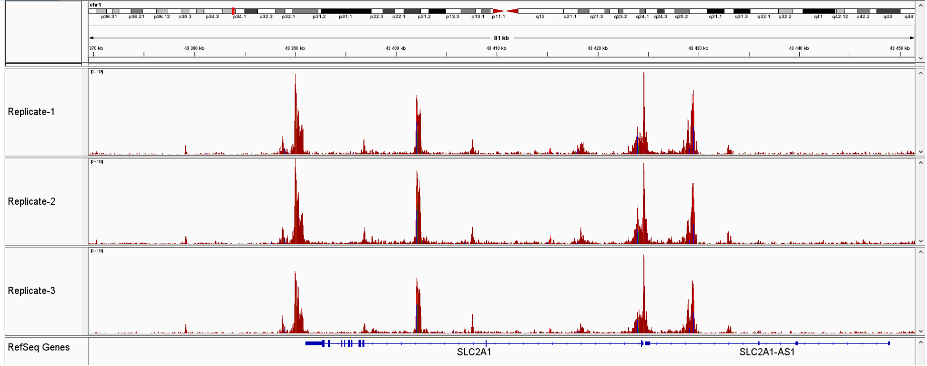 Assay for Transposase-Accessible Chromatin