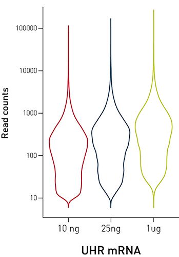 total RNA