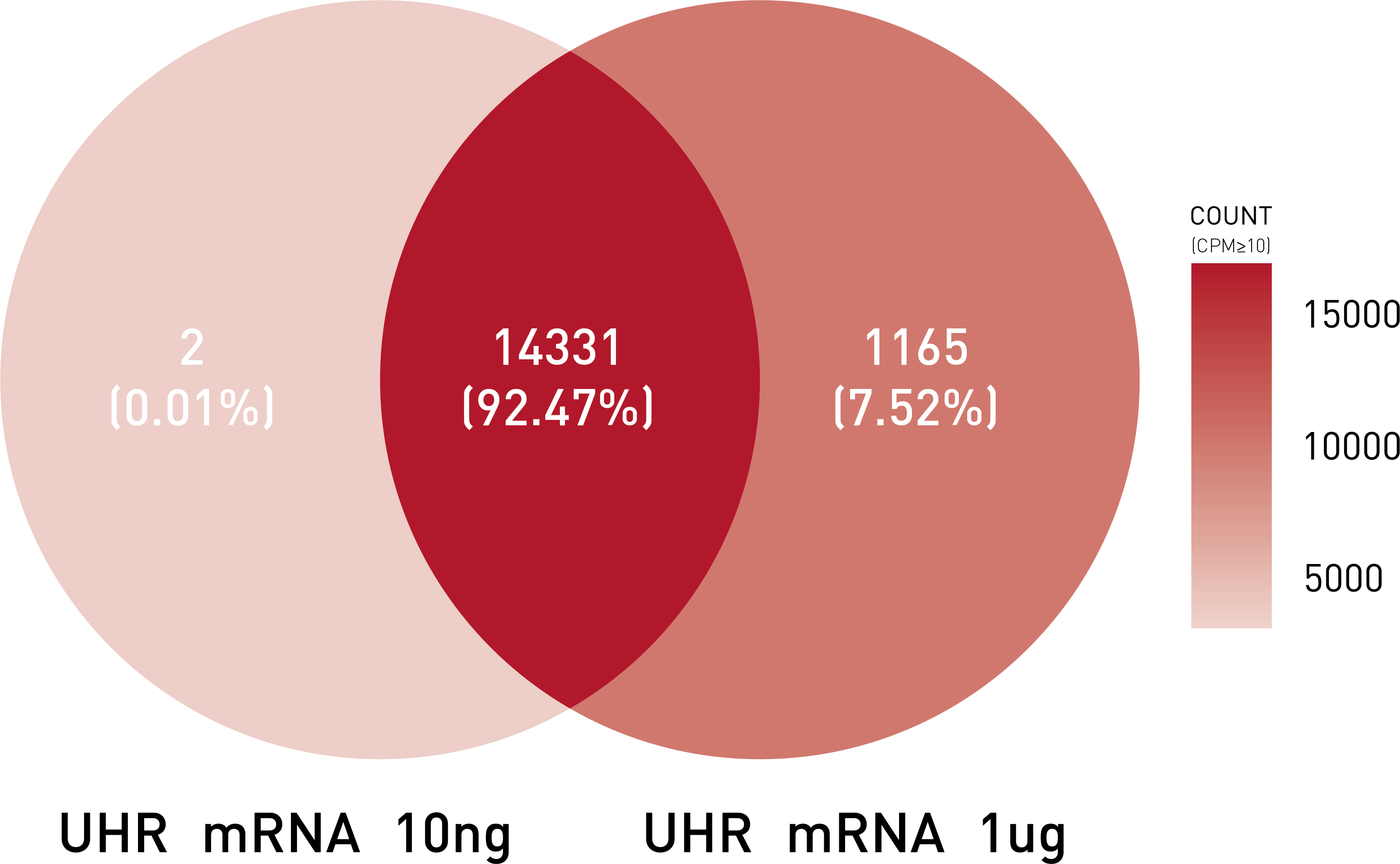 total RNA kit