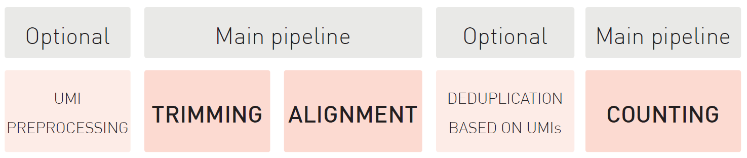 small RNA sequencing bioinformatics pipeline