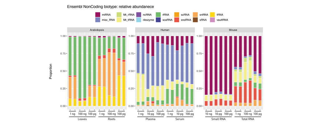 small RNA diversity