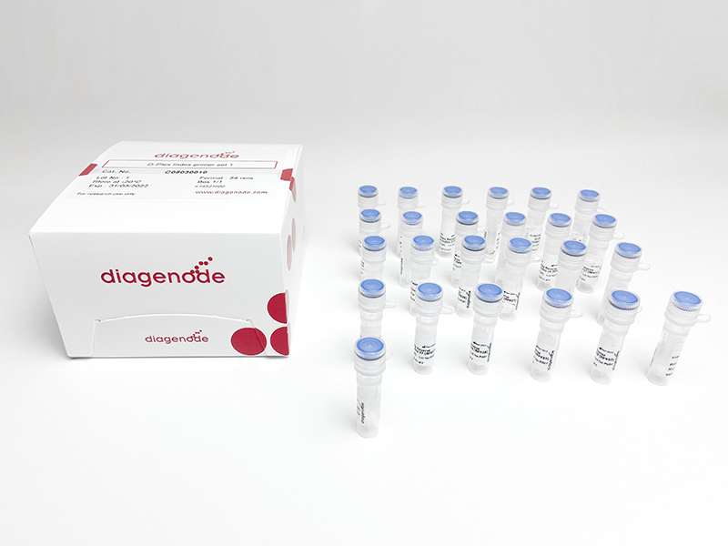 Illumina index primers for D-Plex small RNA library preparation with UMI