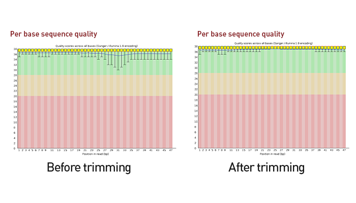 High quality DNBSEQ sequencing solution