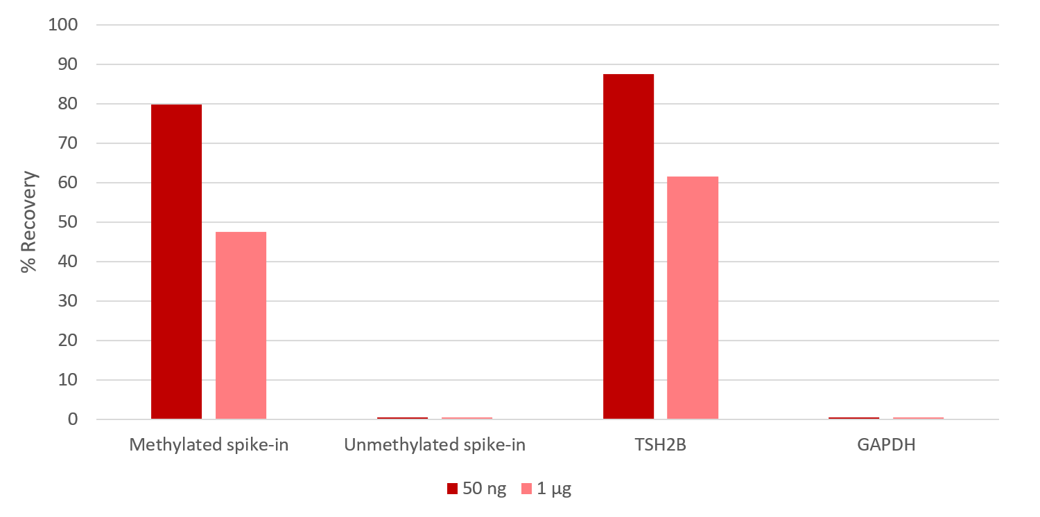 Methylated DNA Immunoprecipitation