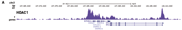 ChIP-seq figure A