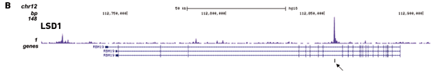 ChIP-seq figure B