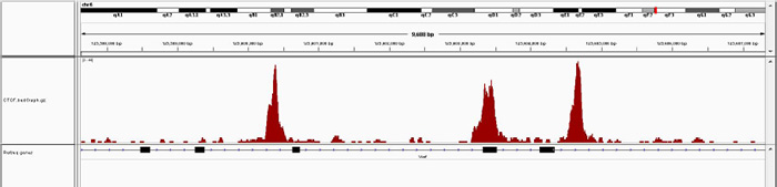 ChIP-seq figure A