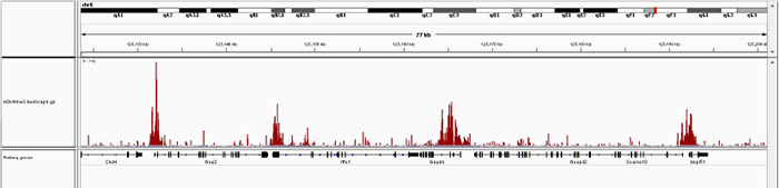 Figure 4A