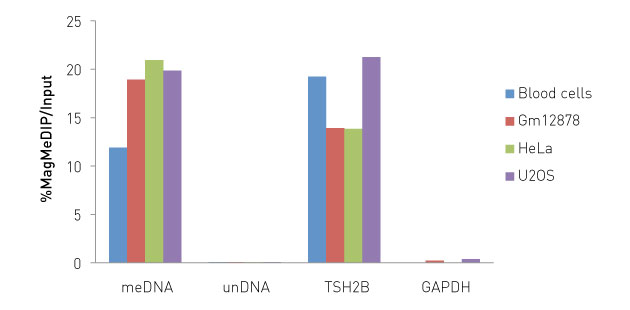 MagMeDIP kit validated using Bioruptor