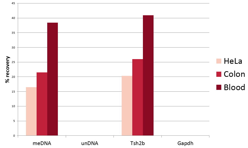 MagMeDIP kit validated using Bioruptor